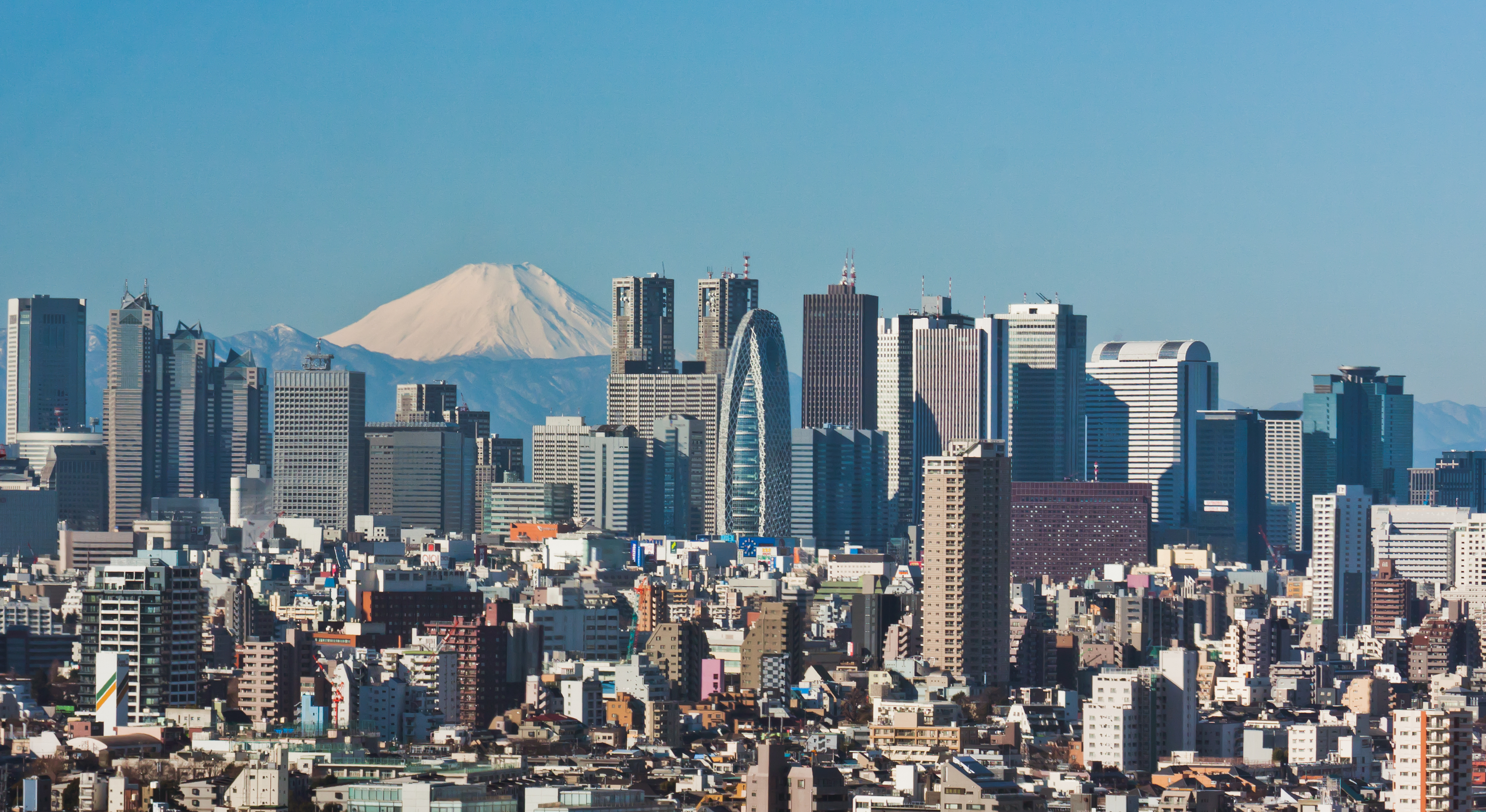 Japanese cityscape photo